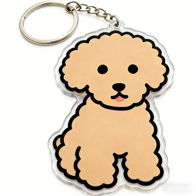 comprare Portachiavi Anime Cartoon Glitter Resina Epossidica Acrilico Trasparente Personalizzato Con Logo Per Borse Regali Produttore All'ingrosso online manufacture