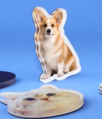 HAPPY GIFT Prodotto su misura Pet Design Acrilico Frigorifero Magnete Anime Cute Personalizzazione Autocolante di plastica olografico